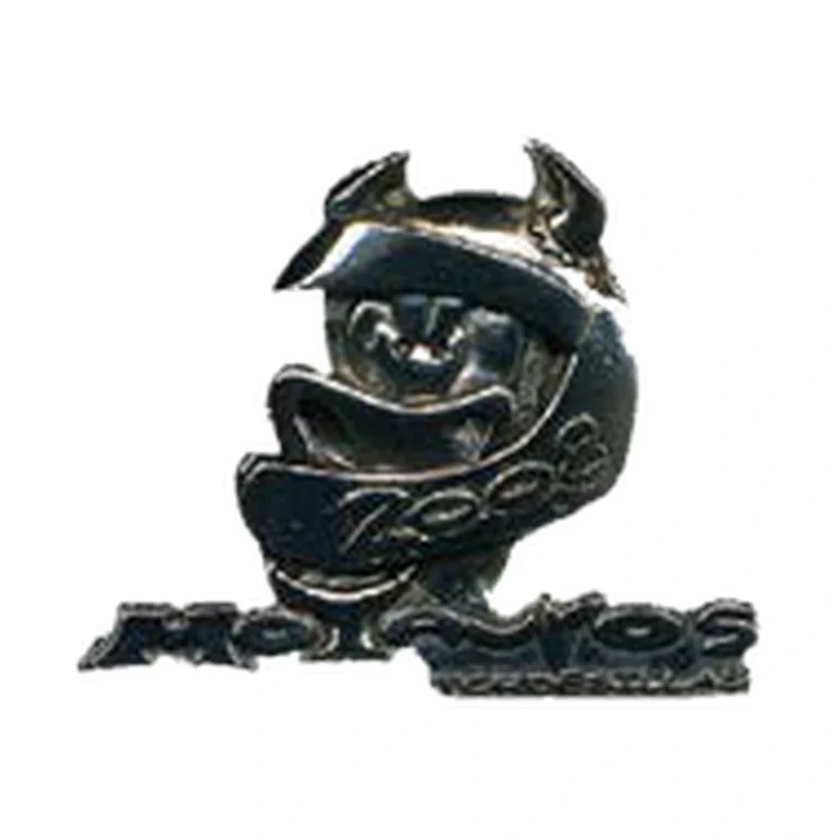 Pin Motauros 2008