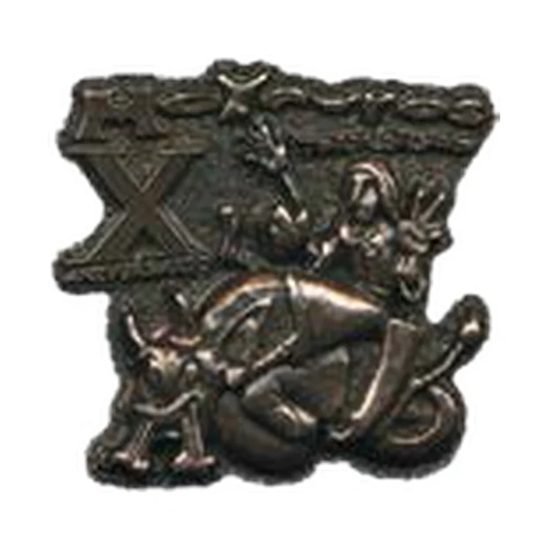 Pin Motauros 2010
