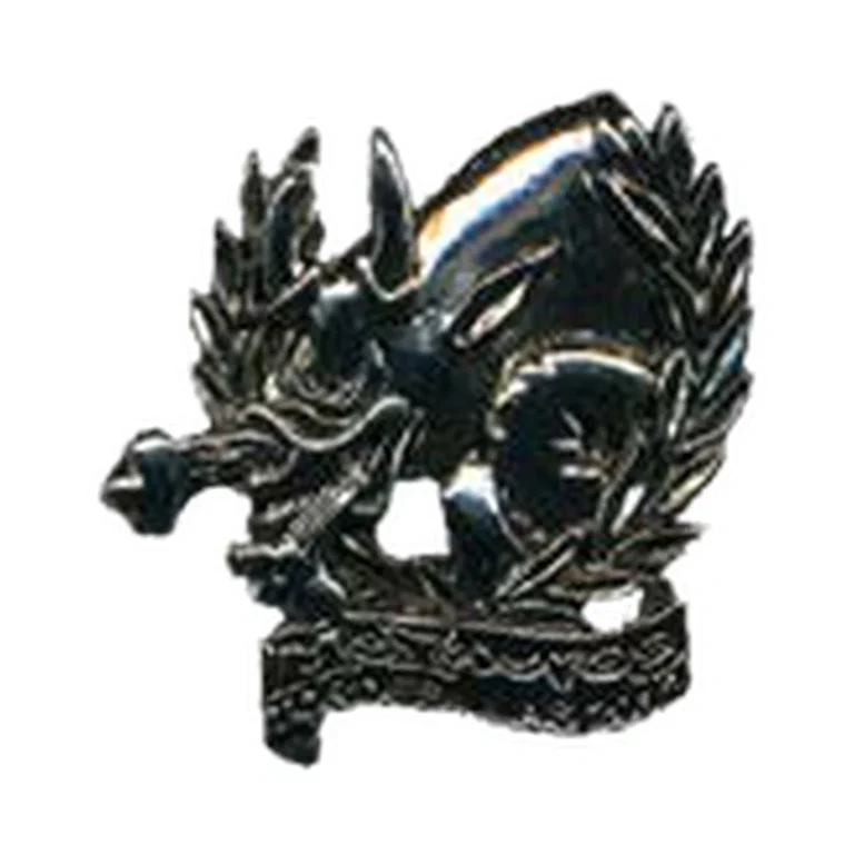 Pin Motauros 2012