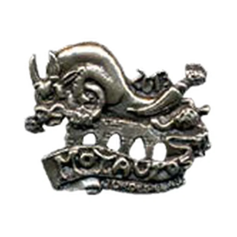 Pin Motauros 2013